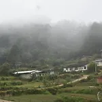 Mihidum Sihina Guest