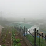 Green Lodge - Farm Stay