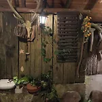47 *