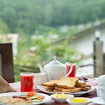 Guest house Grand Mellow *