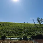 Palazzo Lake Gregory