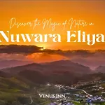 Venus Inn Nuwara Eliya