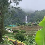 2020 Wooden Nuwara Eliya