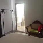 The Fern 2*