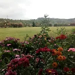 Tea View Resort Nuwaraeliya