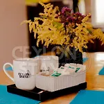 The Loft By Ceylon Stayz * Nuwara Eliya