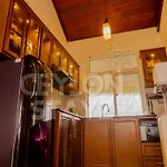 The Loft By Ceylon Stayz Hostel