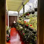 Cozy Heaven