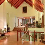 Tea Plant Nuwara Eliya