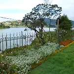 Tea Plant Nuwara Eliya