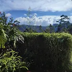 Andrews Homestay *