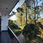 Forest Edge