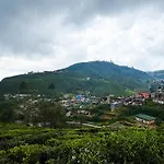 Queens Gregory - Nuwara Eliya