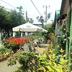 Colling Wood Hotel