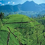 New Tour Nuwara Eliya