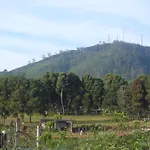 Heavenly Home Inn