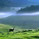 Grand Rest Nuwara Eliya