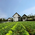 Nuwara Eliya The Fern Cove