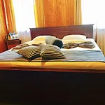Single Tree Hotel