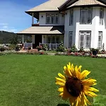 The Hill Town