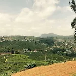 Single Tree Hotel