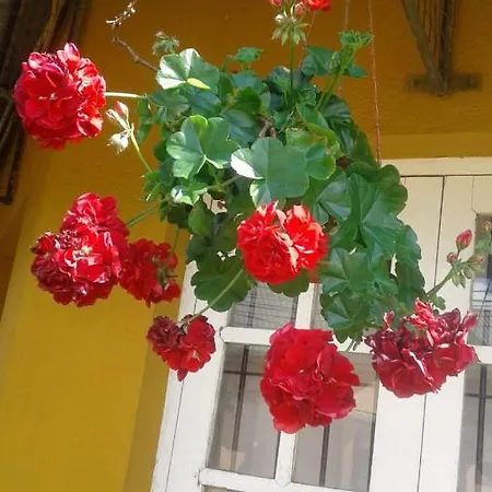 Lady Horton Guest house 2*
