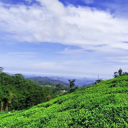 The Royal Terrace Bed & Breakfast Nuwara Eliya