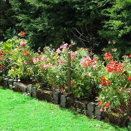 The Royal Terrace Bed & Breakfast
