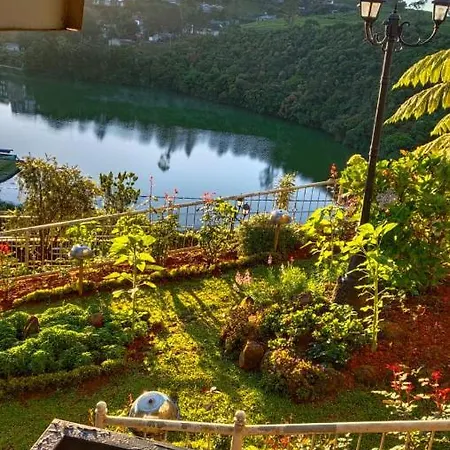 Misty Paradise Of Gregory