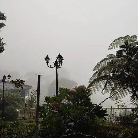Misty Paradise Of Gregory Bed & Breakfast