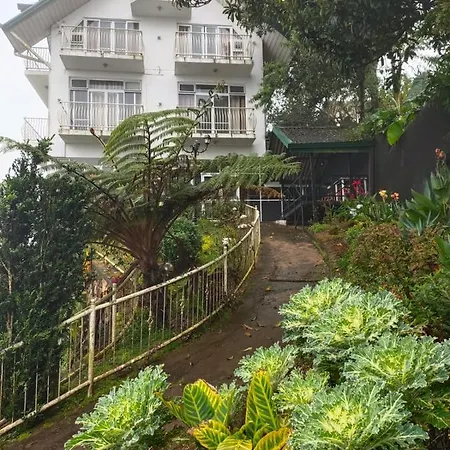 Bed & Breakfast Misty Paradise Of Gregory