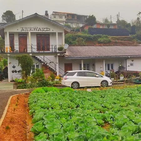 Guest house Rc Awkward 3*