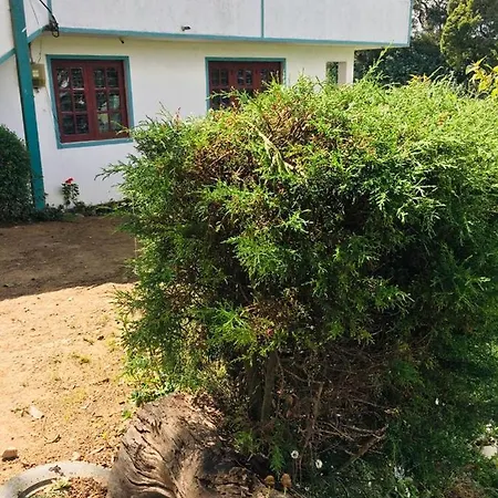 Green Holiday home *