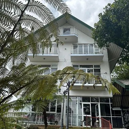 Misty Paradise Of Gregory Bed & Breakfast Nuwara Eliya