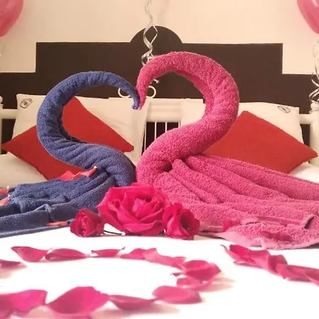Bed & Breakfast Misty Paradise Of Gregory 3*
