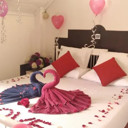 Misty Paradise Of Gregory Bed & Breakfast Nuwara Eliya