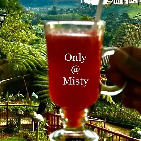 Misty Paradise Of Gregory 3*
