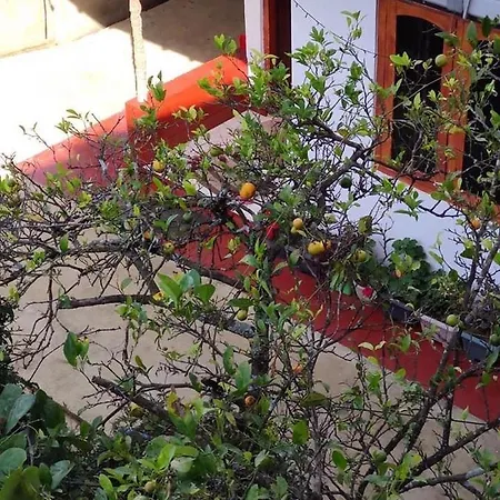 Paul Wood Cabana Guest house Nuwara Eliya