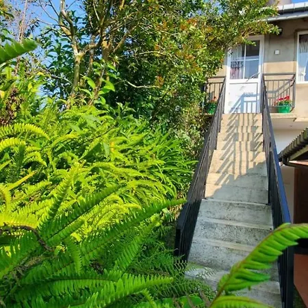 Acme Divine View Guest house Nuwara Eliya