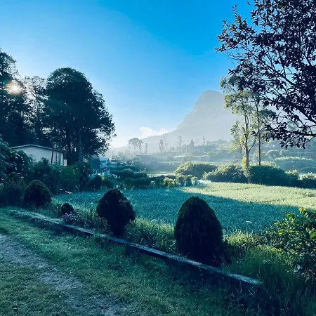 Wasantha * Nuwara Eliya