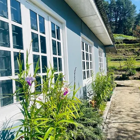Wasantha Nuwara Eliya