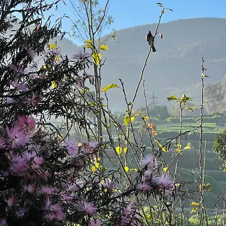 Wasantha Holiday home