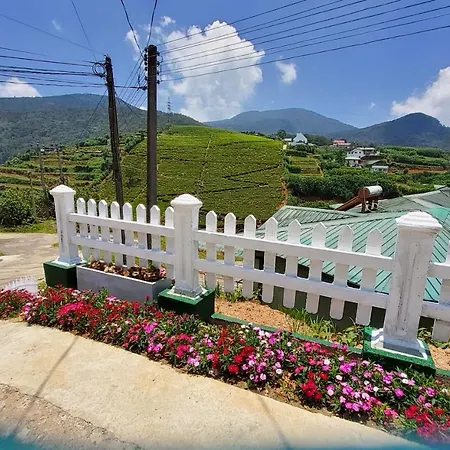 Royal Hotel *