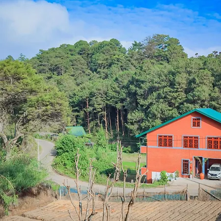 The Backwoods Standard * Nuwara Eliya