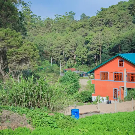 The Backwoods Standard Apartment Nuwara Eliya