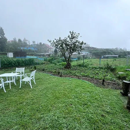 Trinity Guest-inn * Nuwara Eliya