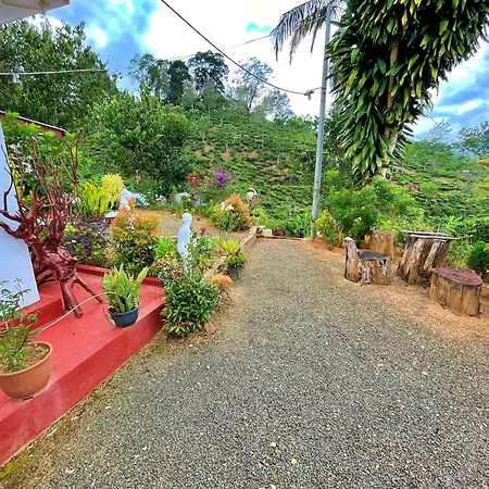 Rohitha Guest Villa Nuwara Eliya