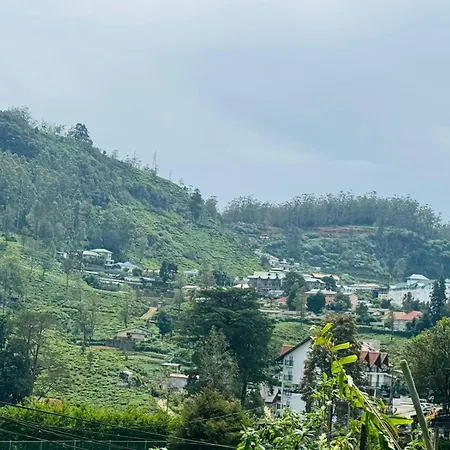 The Green Viwe Nuwara Eliya