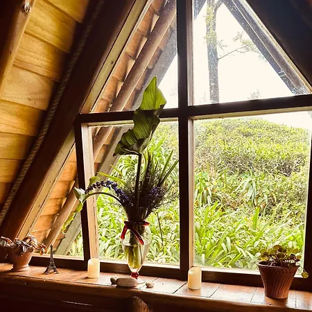 Hotel 47 Nuwaraeliya