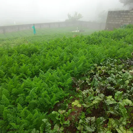 Apartment - Farm